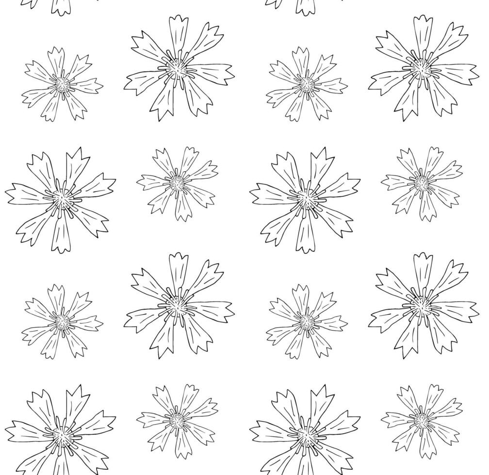Seamless pattern of hand drawn cornflower vector