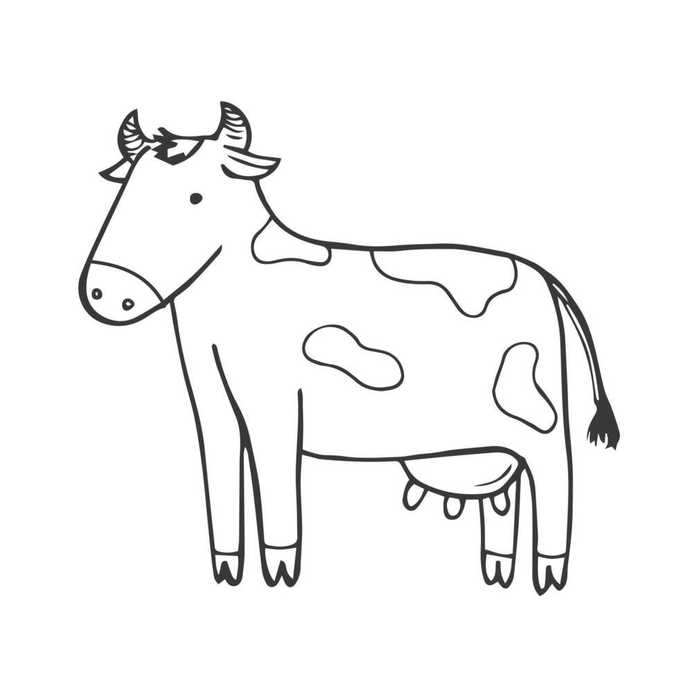 Doodle hand draw Sketch Cow. Isolated on white vector