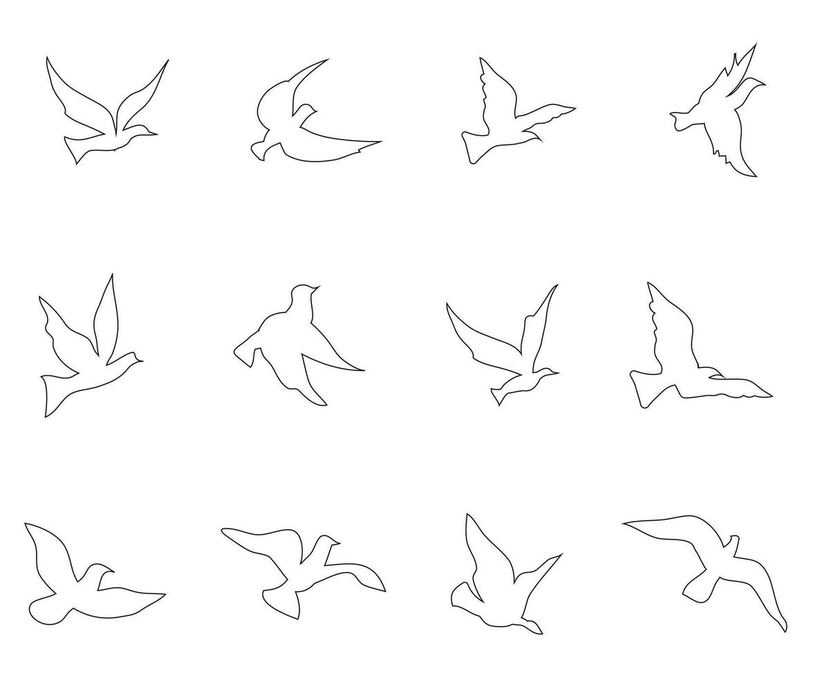 bird outline set silhouette isolated on white background vector