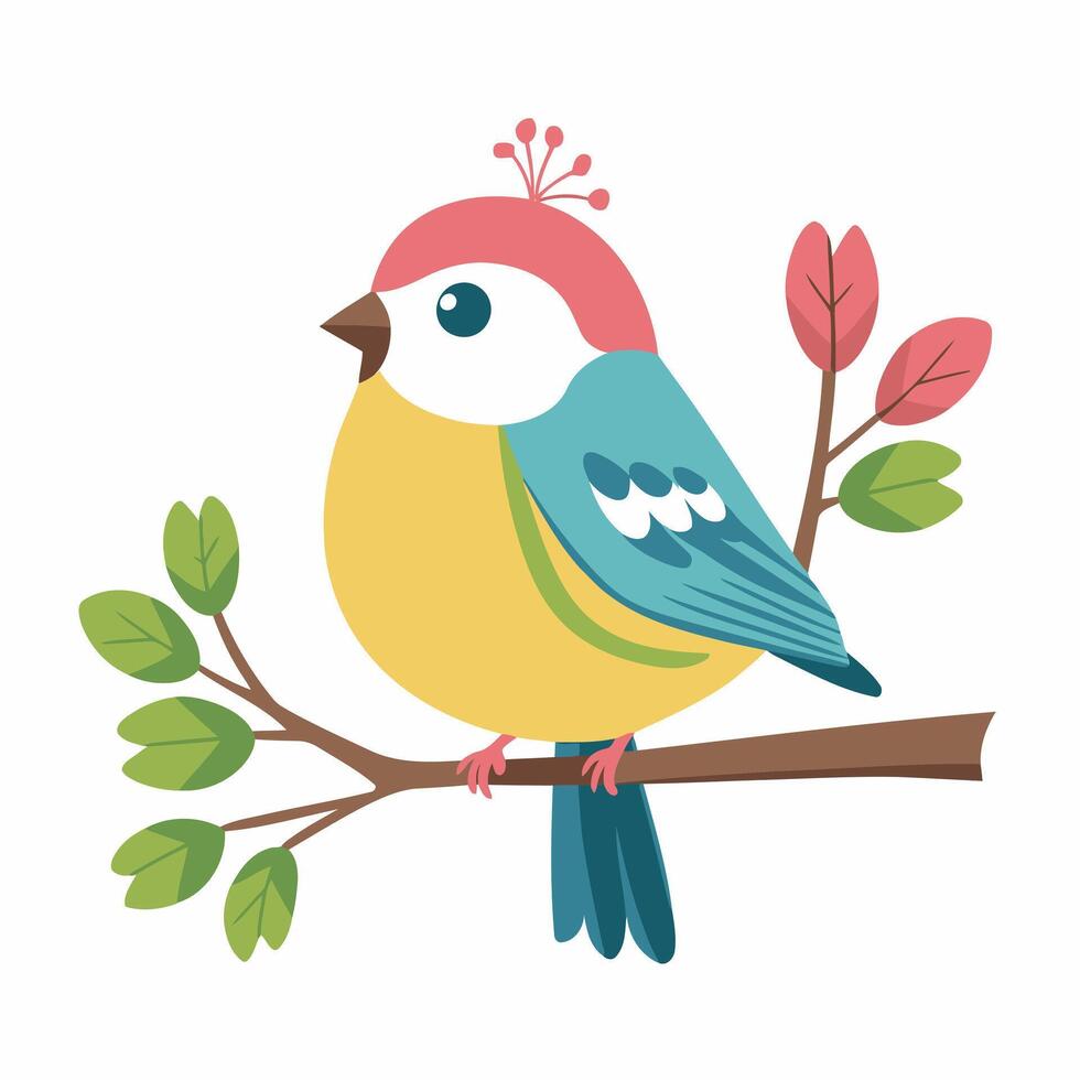 robin bird cute little bird character white background, illustration vector