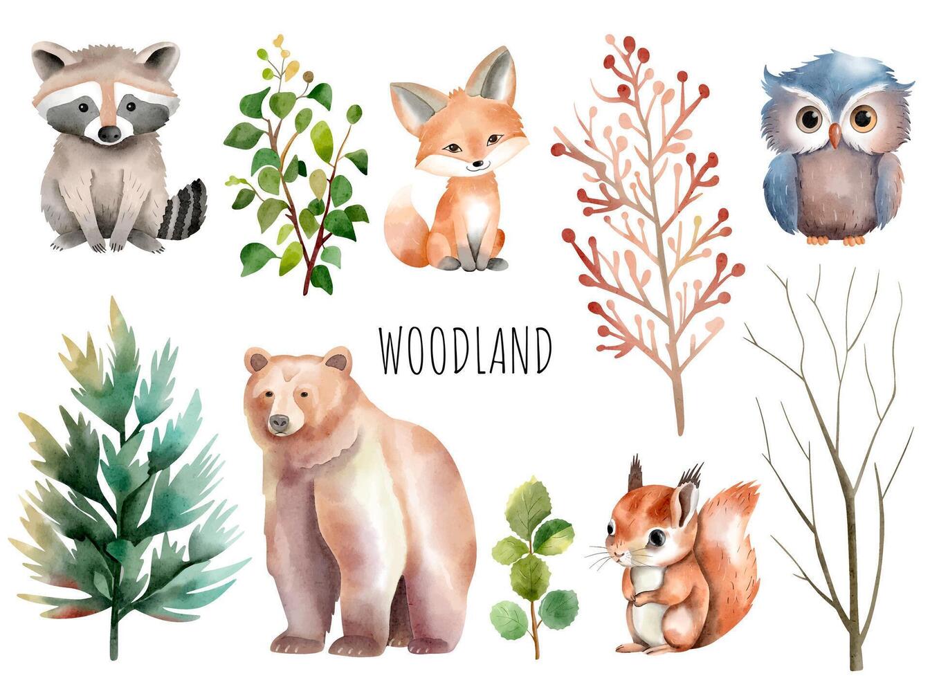 Set of wild watercolor forest animals. Woodland animals. Trees and plants. Bear, fox, squirrel, owl. vector