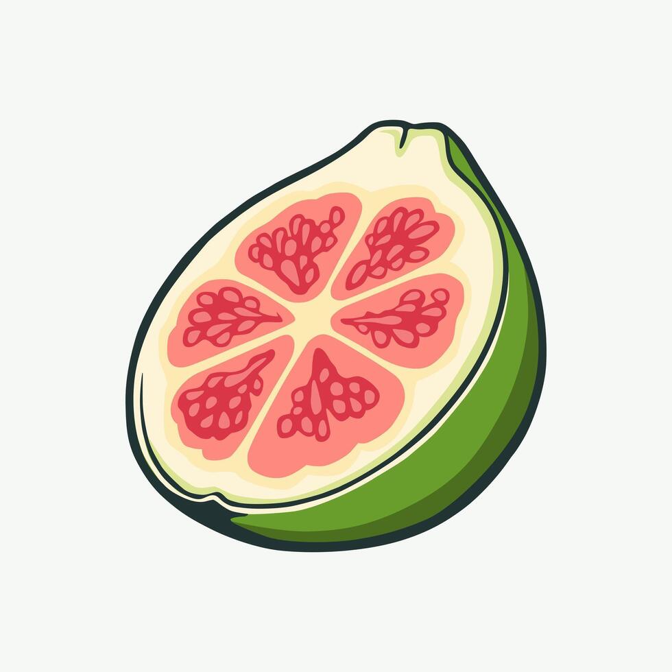 Illustration of guava fruit vector