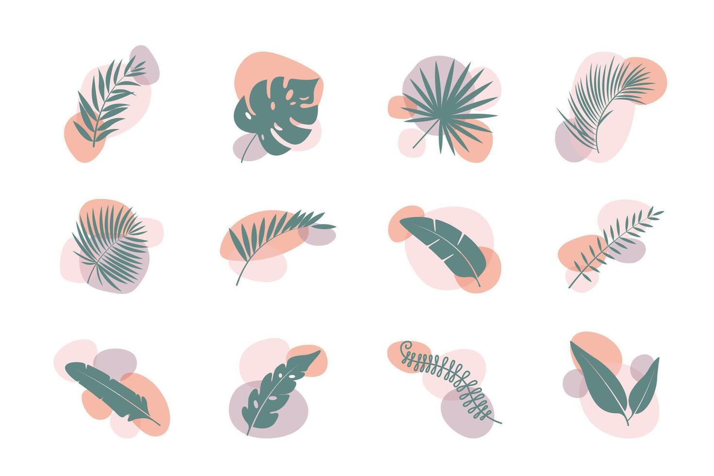 Floral abstract elements. Tropical Botanical composition. vector