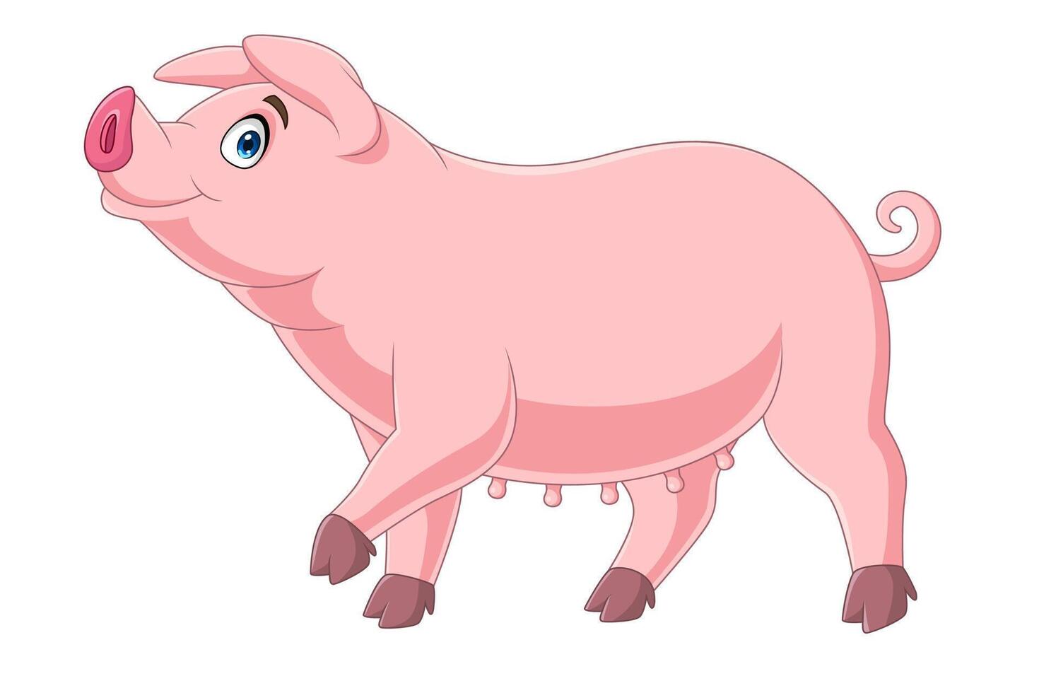 Cartoon funny pig on white background vector