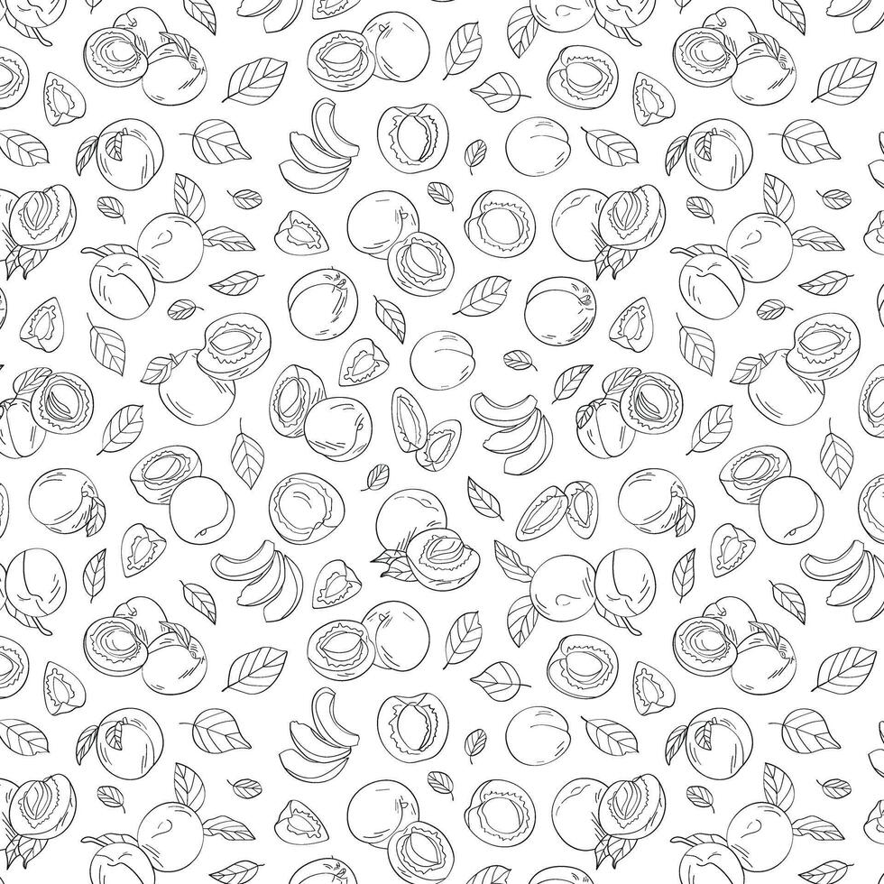 Seamless endless pattern of apricots. Illustration in hand drawn style. Can be used to create packaging, covers, backgrounds, cards, textiles, clothing, souvenirs and much more. vector