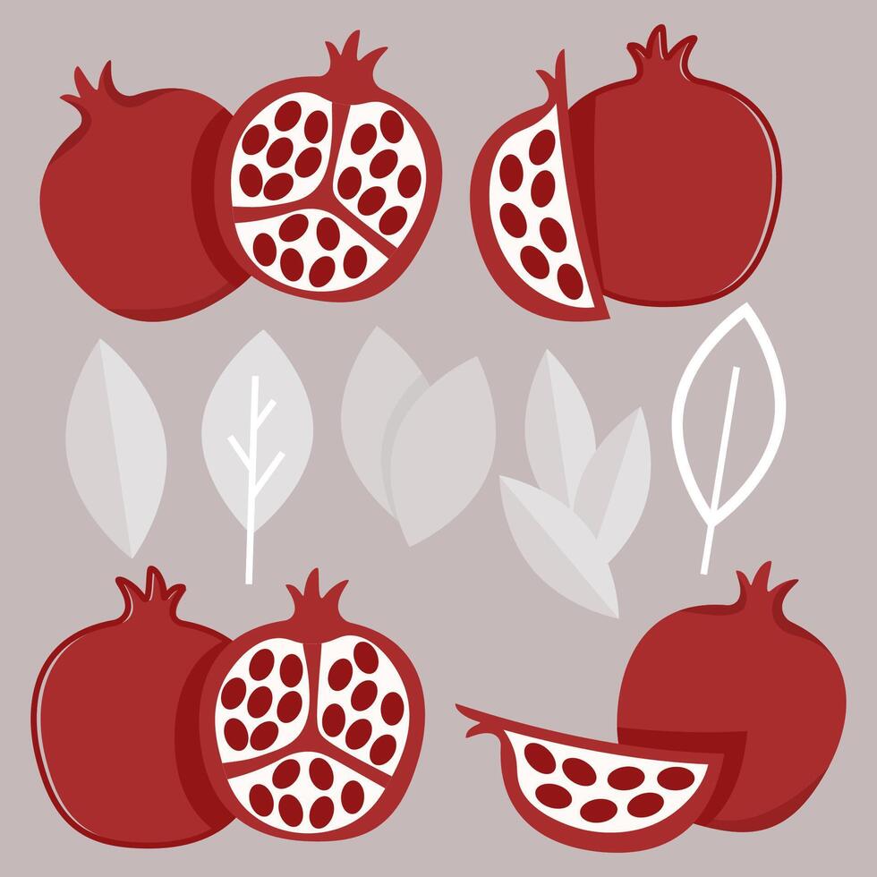 Set of cut and whole pomegranate, with leaves vector