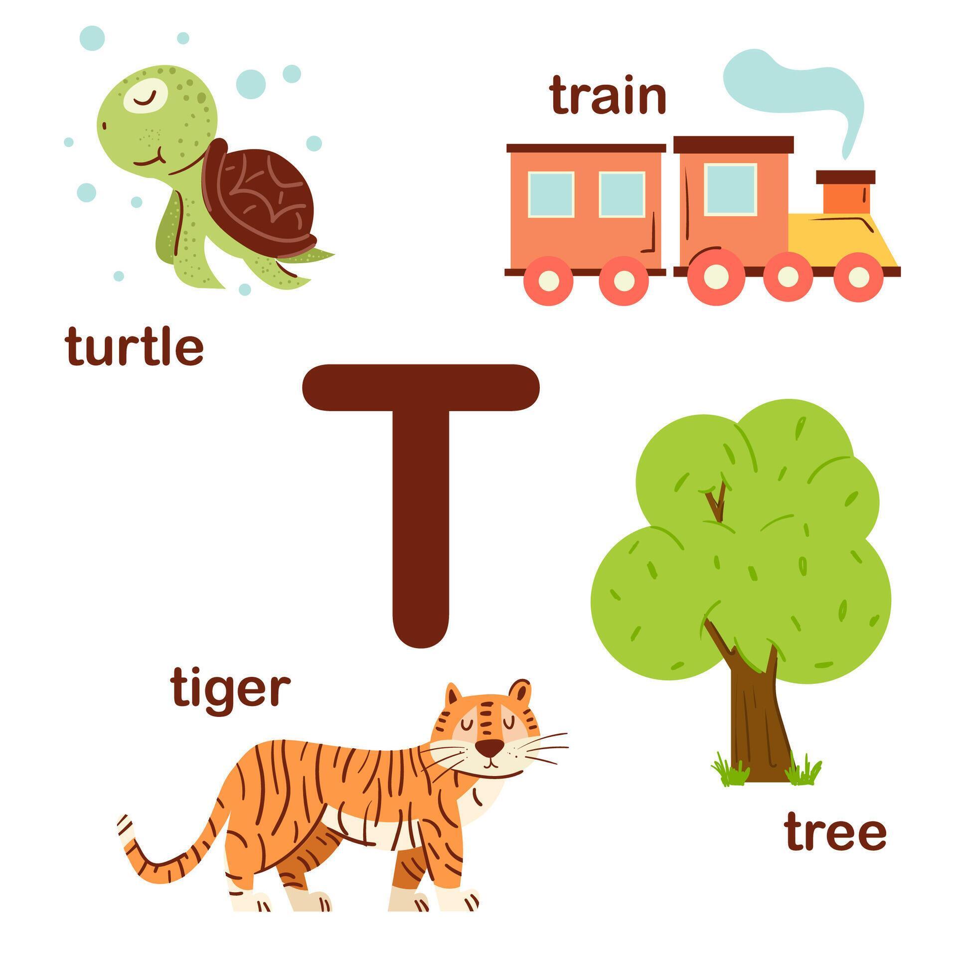 Preschool english alphabet. T letter. Tree, train, tiger, turtle ...