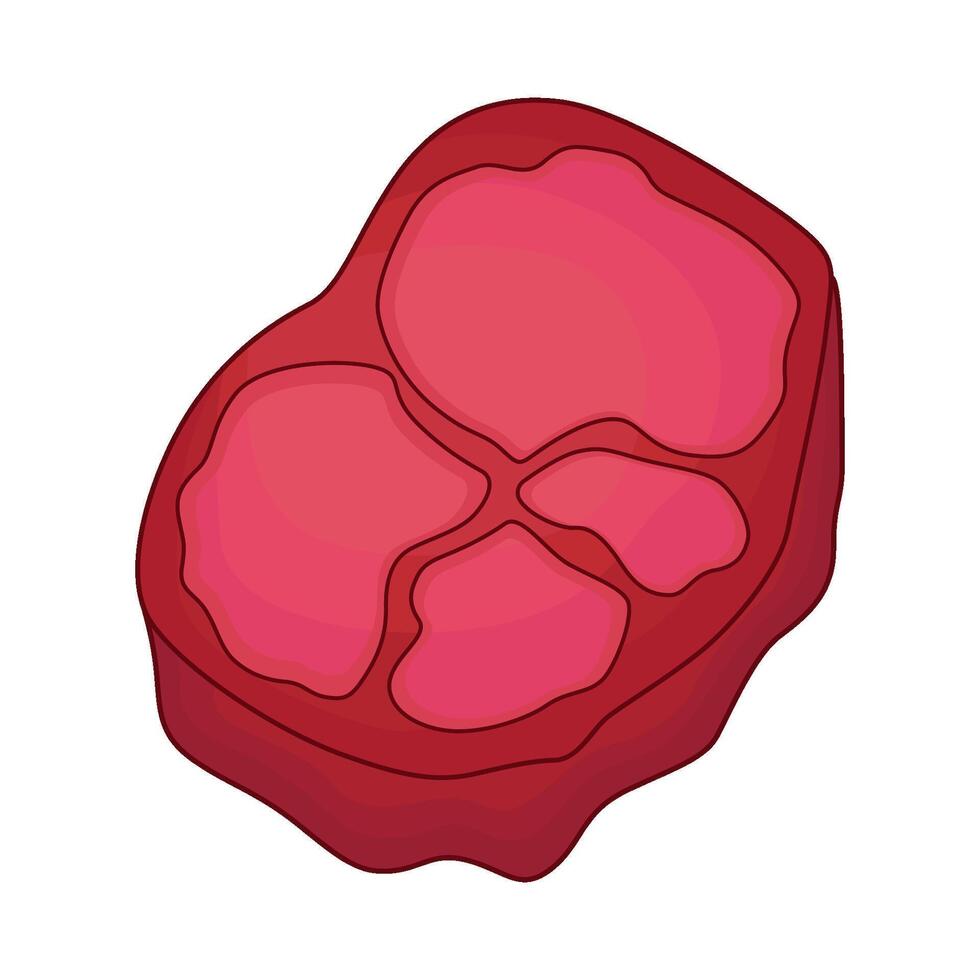 illustration of meat vector