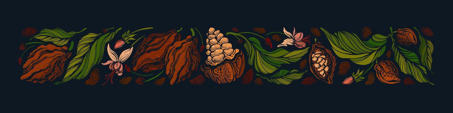 Dark chocolate. Cocoa banner Beans, leaves, fruits vector