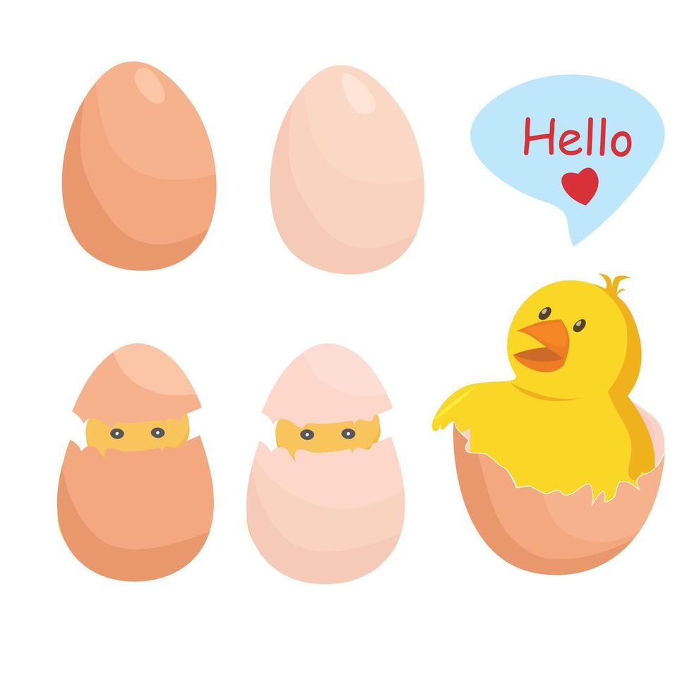 Egg set. Flat in cartoon style isolated on white background. vector