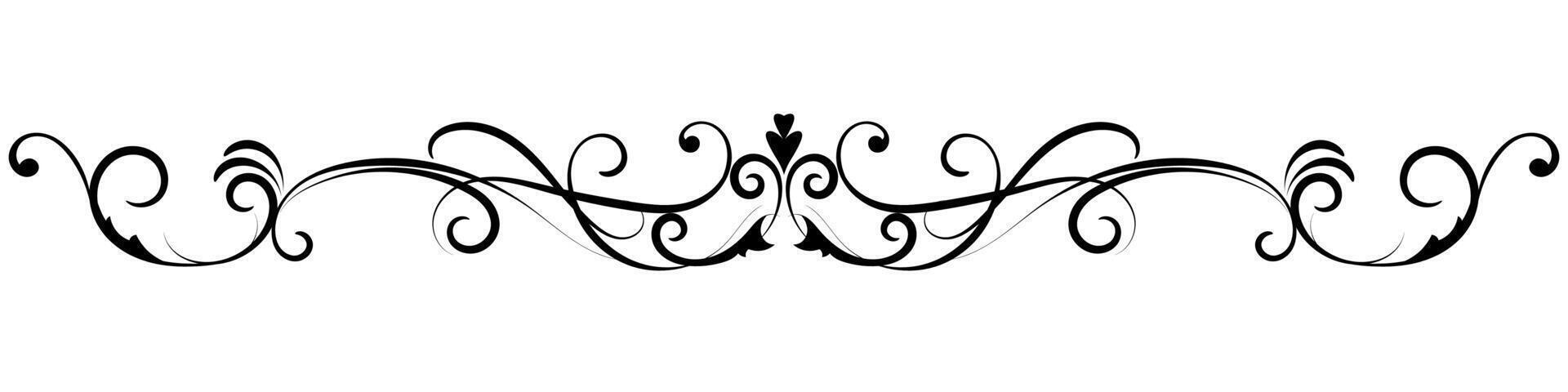 Calligraphic. Black vintage lines on white background. Abstract lines. Graphic elements vector
