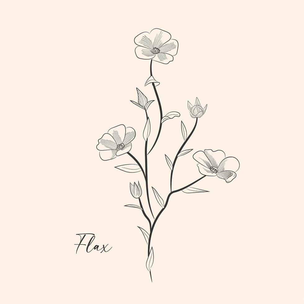 Flax plant colorful flowers, branches and seed of flax isolated on white background. illustration botanical. Vintage engraving style. vector