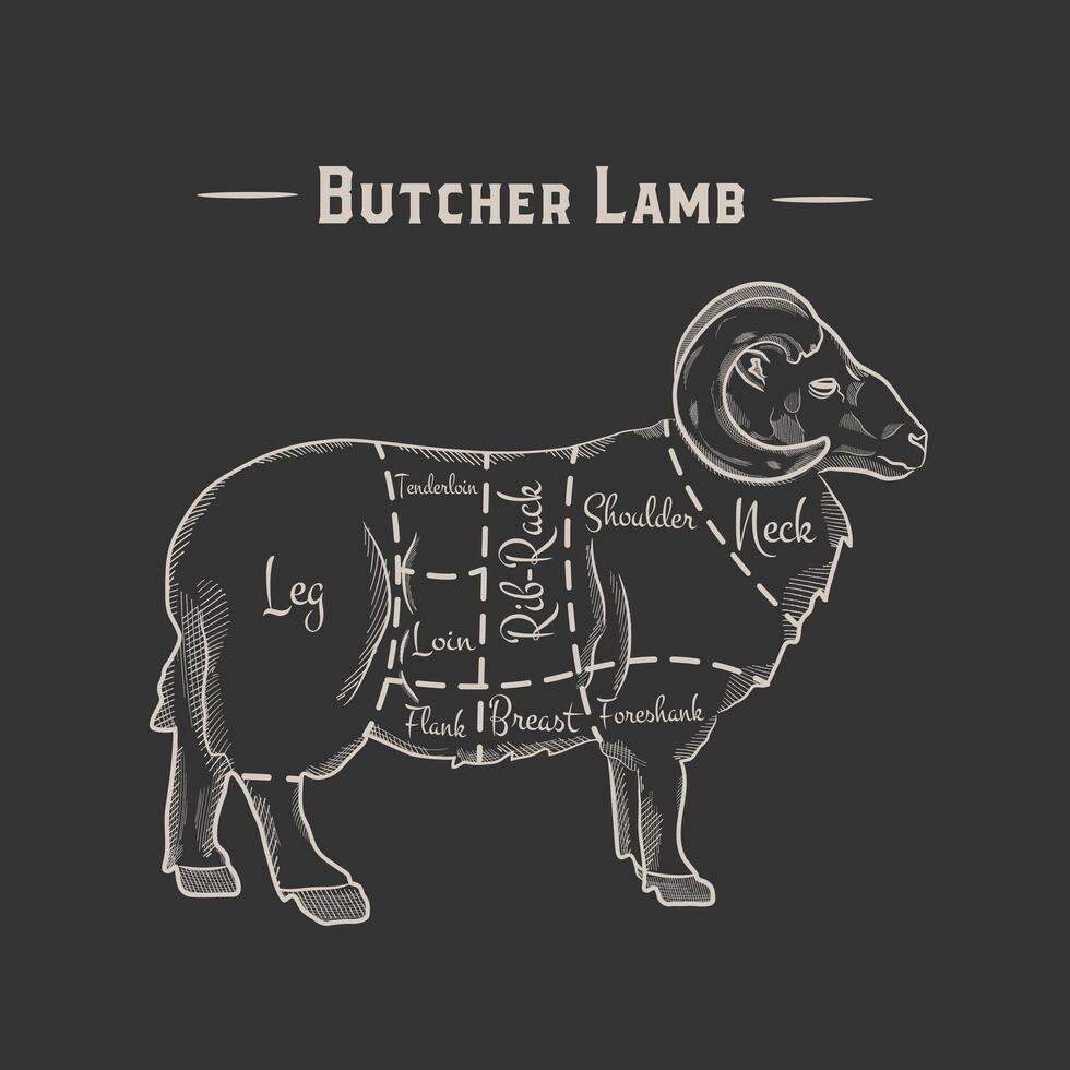Cut of beef set. Poster Butcher diagram and scheme - Lamb. Vintage typographic hand-drawn on a black chalkboard background. illustration vector