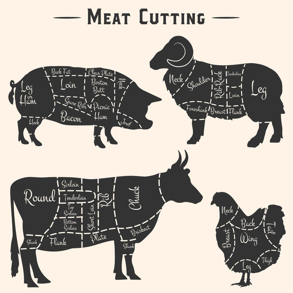 Chunks of meat - chicken, pork, beef and lamb. silhouettes of animal cutting vector