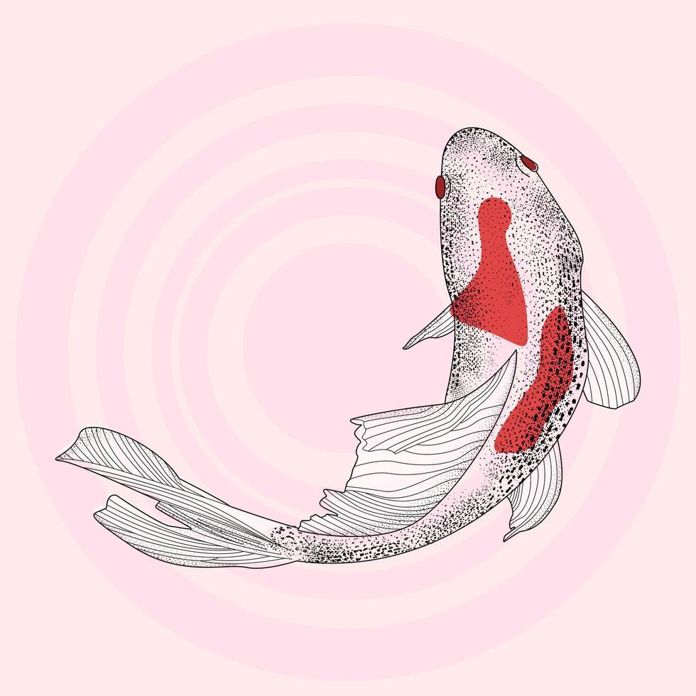 Sketch of red koi fish, carp realistic hand-drawn graphics, illustration japan river fish, retro engraving style, isolated on background. Freshwater fish. Fishing. Symbol of wealth and happiness vector