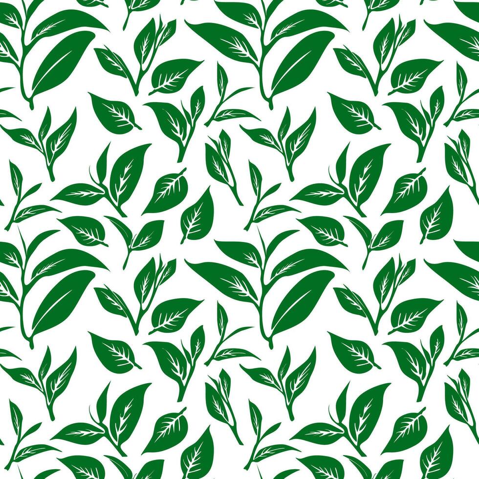 green leaves pattern background. Green tea leaf seamless pattern. tea leaves pattern background. seamless patterns with green leaves of tea. vector