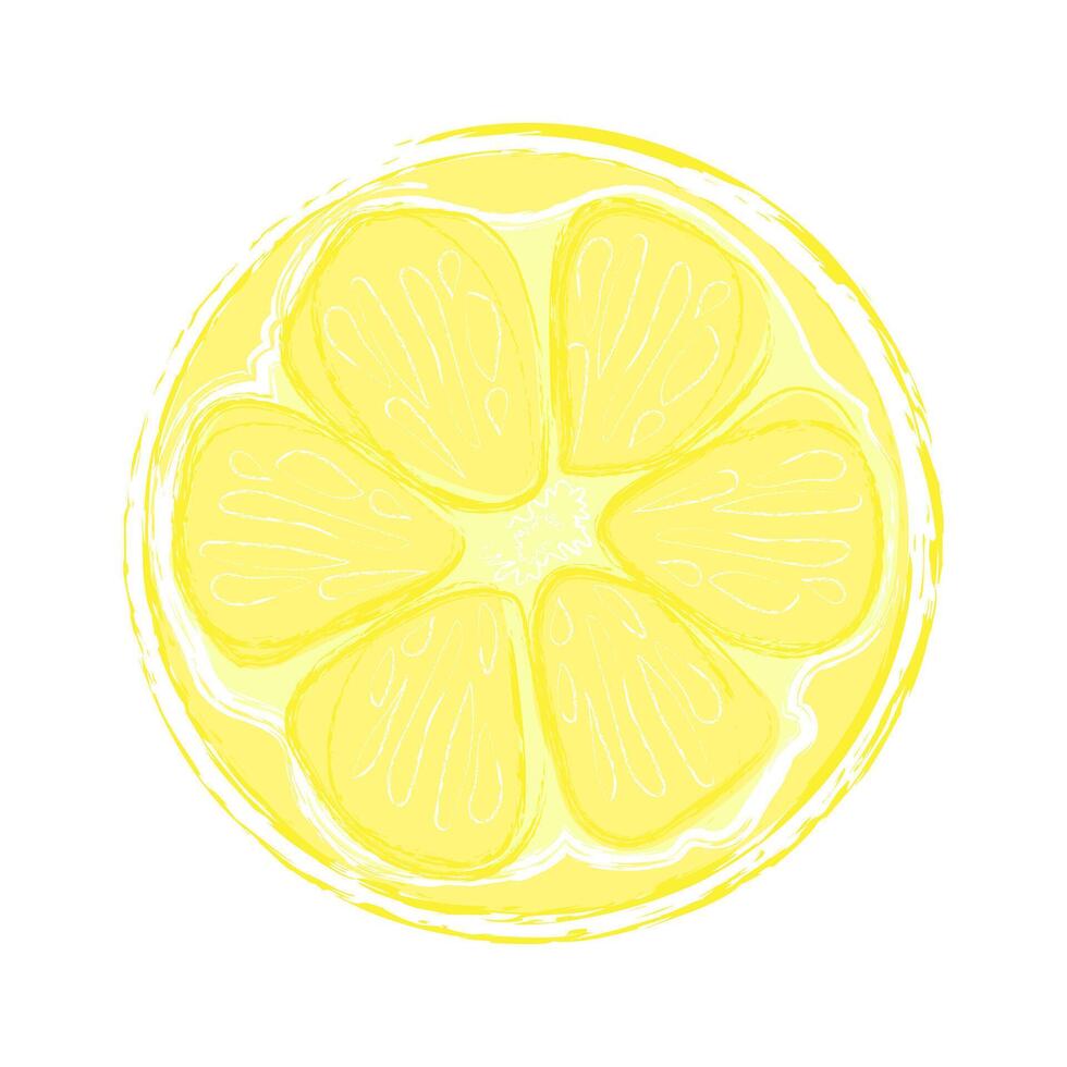 Hand drawn lemon slace. Single element isolated on white background. vector