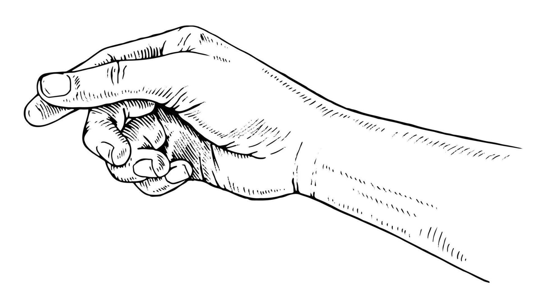 Hand outline illustration. Easy to insert object in palm, finger on isolated separate layer. Graphic clipart of human body part. Woman arm black line art. Drawing on white background vector
