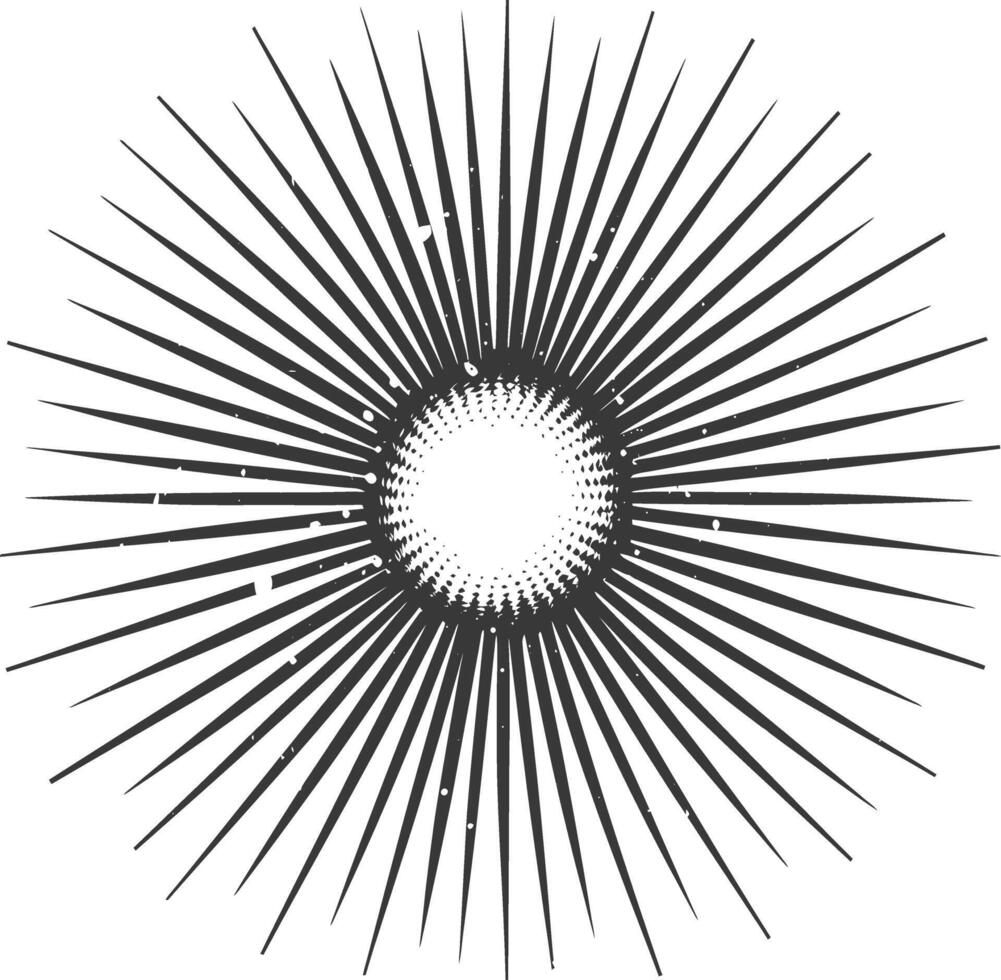 Silhouette Vintage sunburst black color only vector