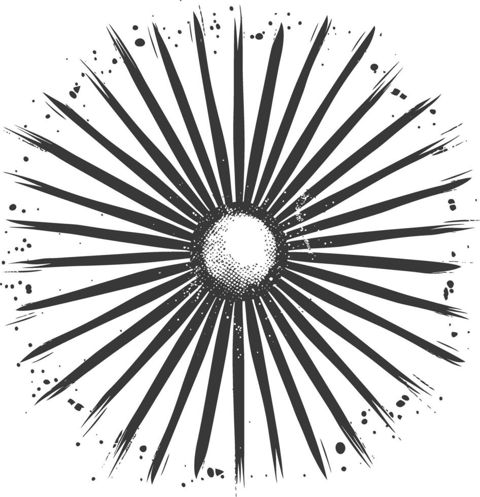 silhouette vintage sunburst black color only vector