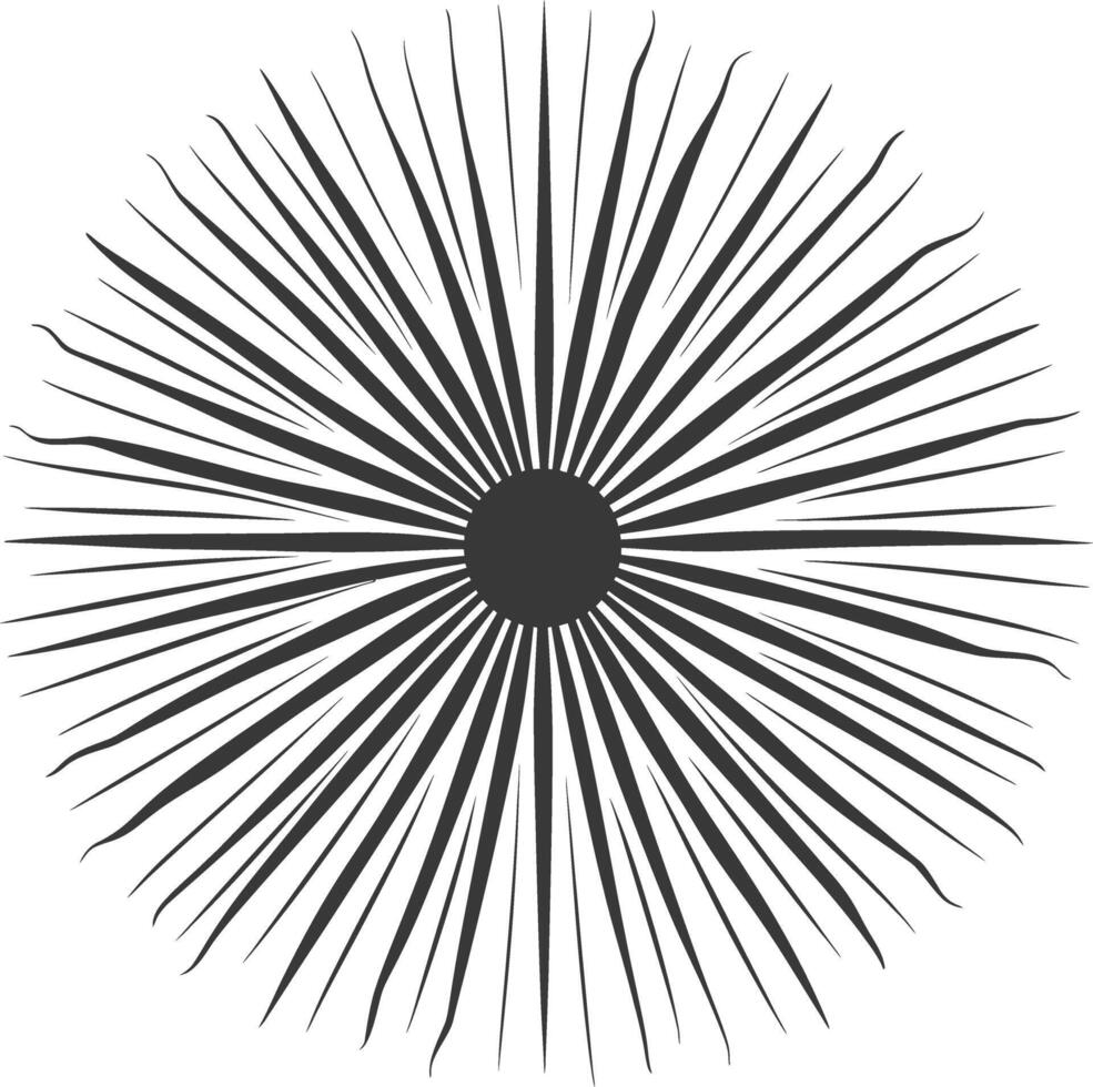 silhouette vintage sunburst black color only vector