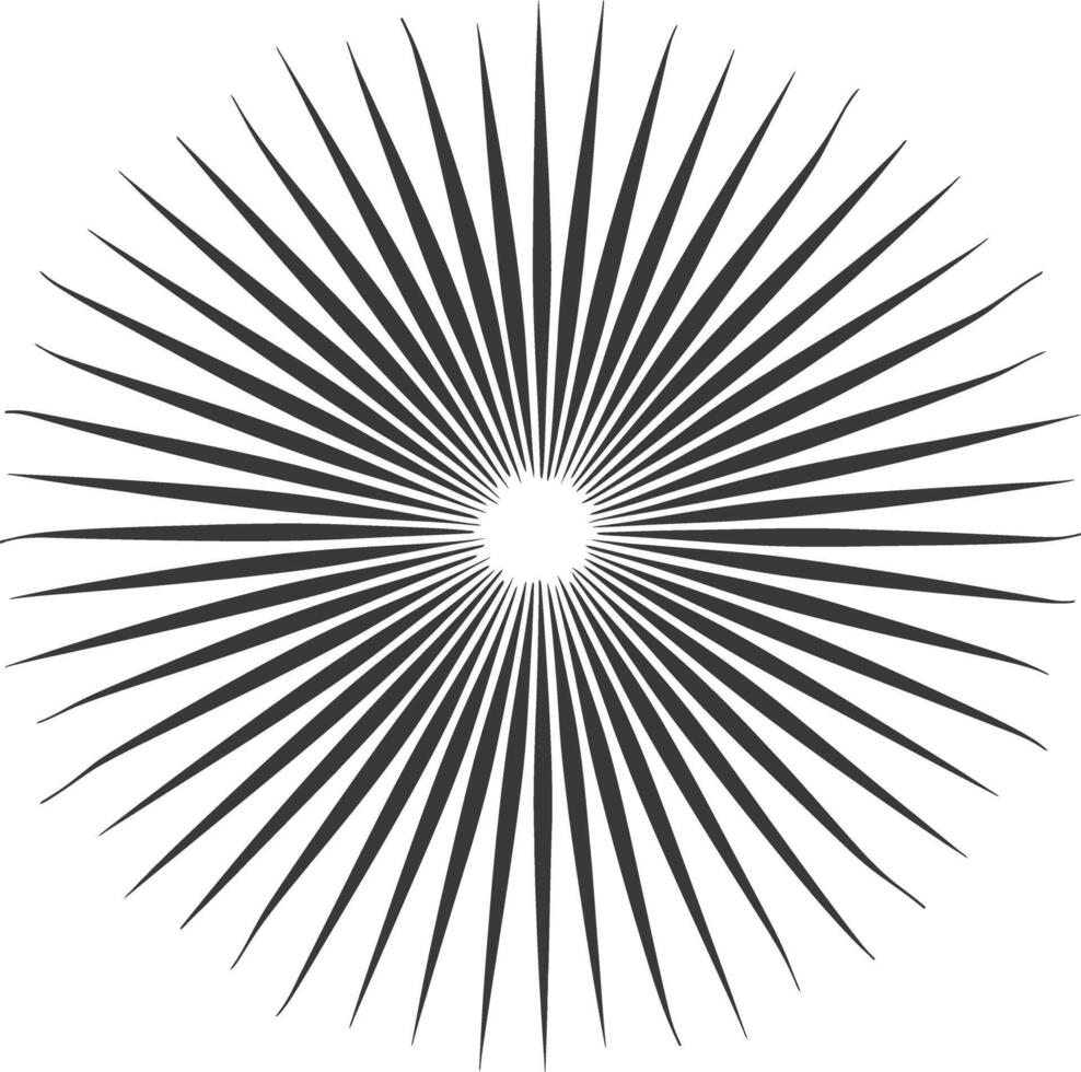 silhouette vintage sunburst black color only vector