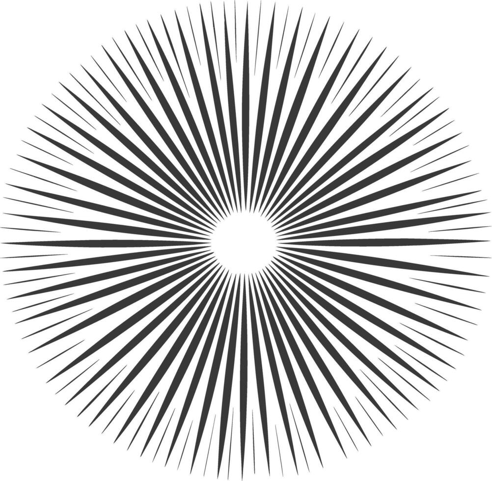 silhouette vintage sunburst black color only vector