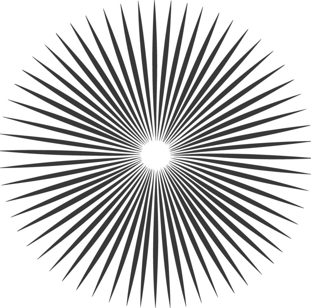 silhouette vintage sunburst black color only vector