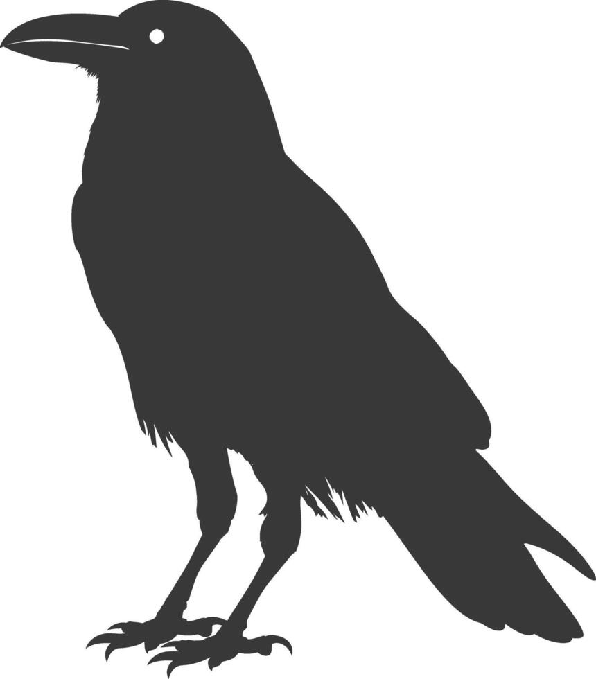 silhouette raven animal full body black color only vector