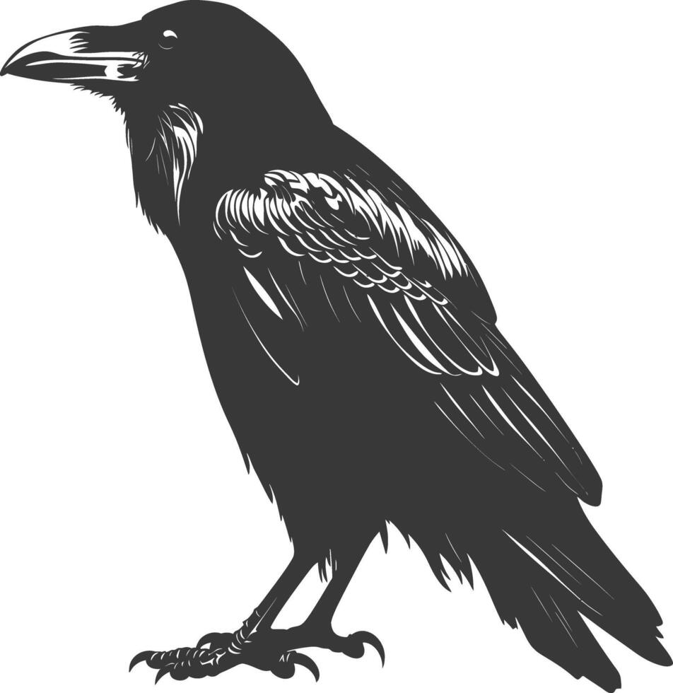 silhouette raven animal full body black color only vector