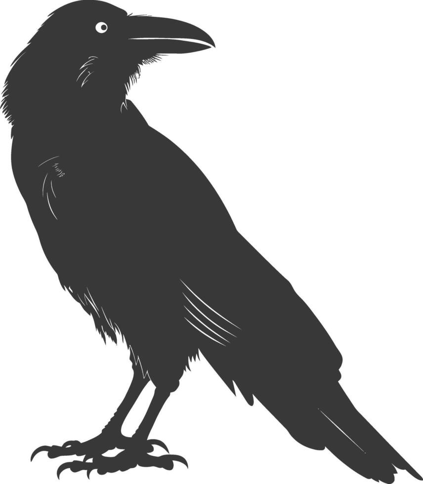 silhouette raven animal full body black color only vector