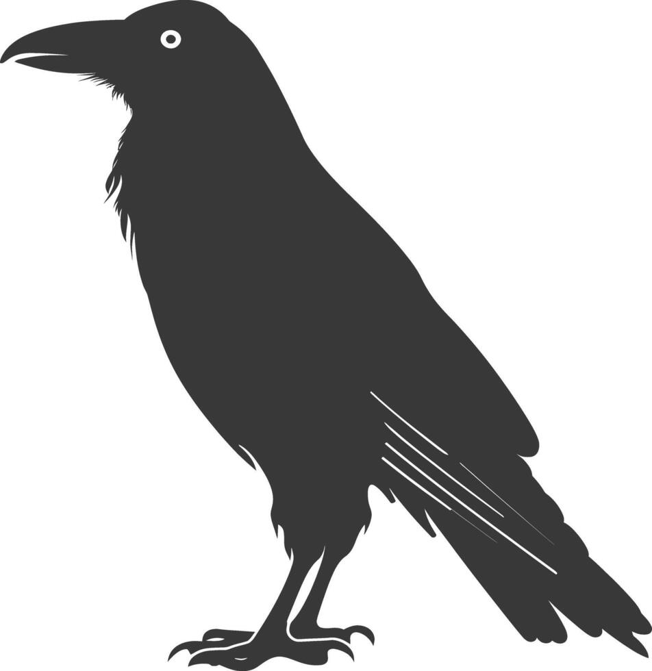 silhouette raven animal full body black color only vector