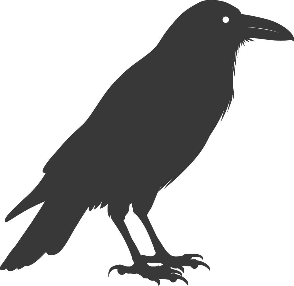 silhouette raven animal full body black color only vector