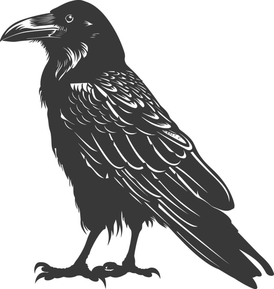 silhouette raven animal full body black color only vector