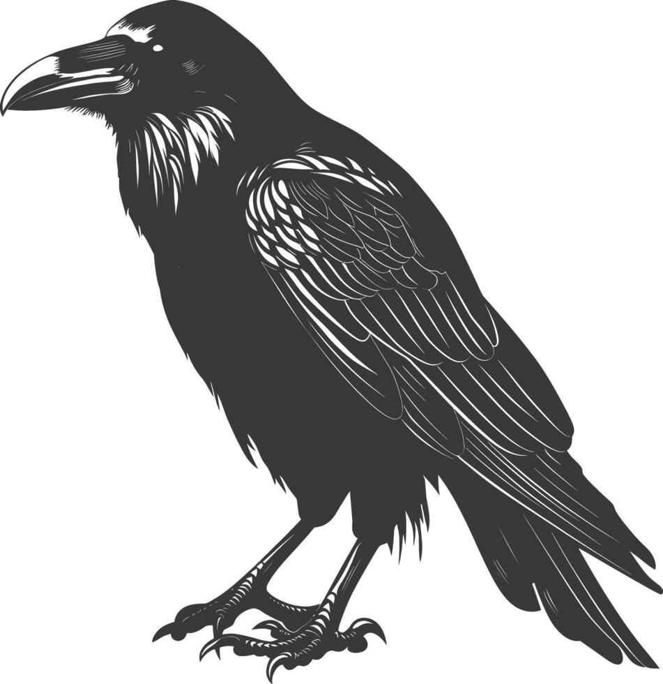 silhouette raven animal full body black color only vector