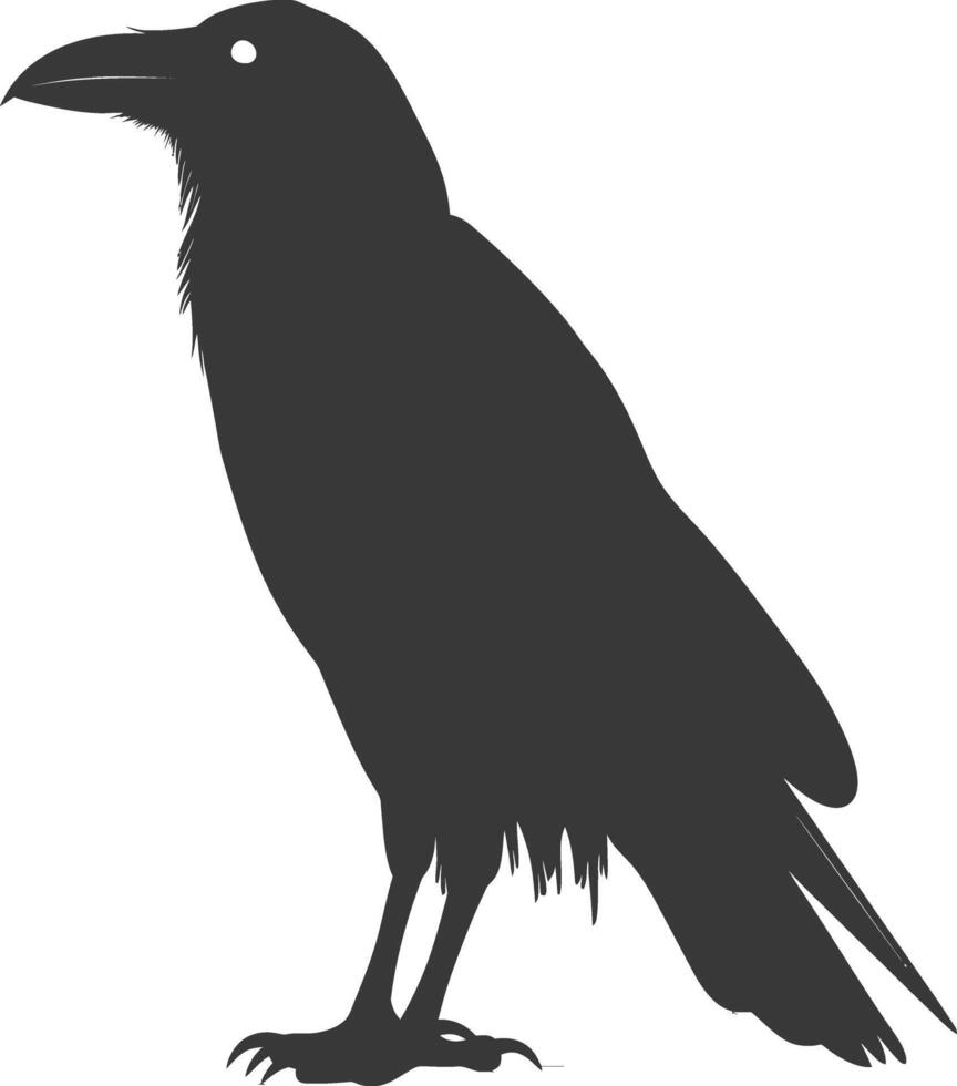 silhouette raven animal full body black color only vector