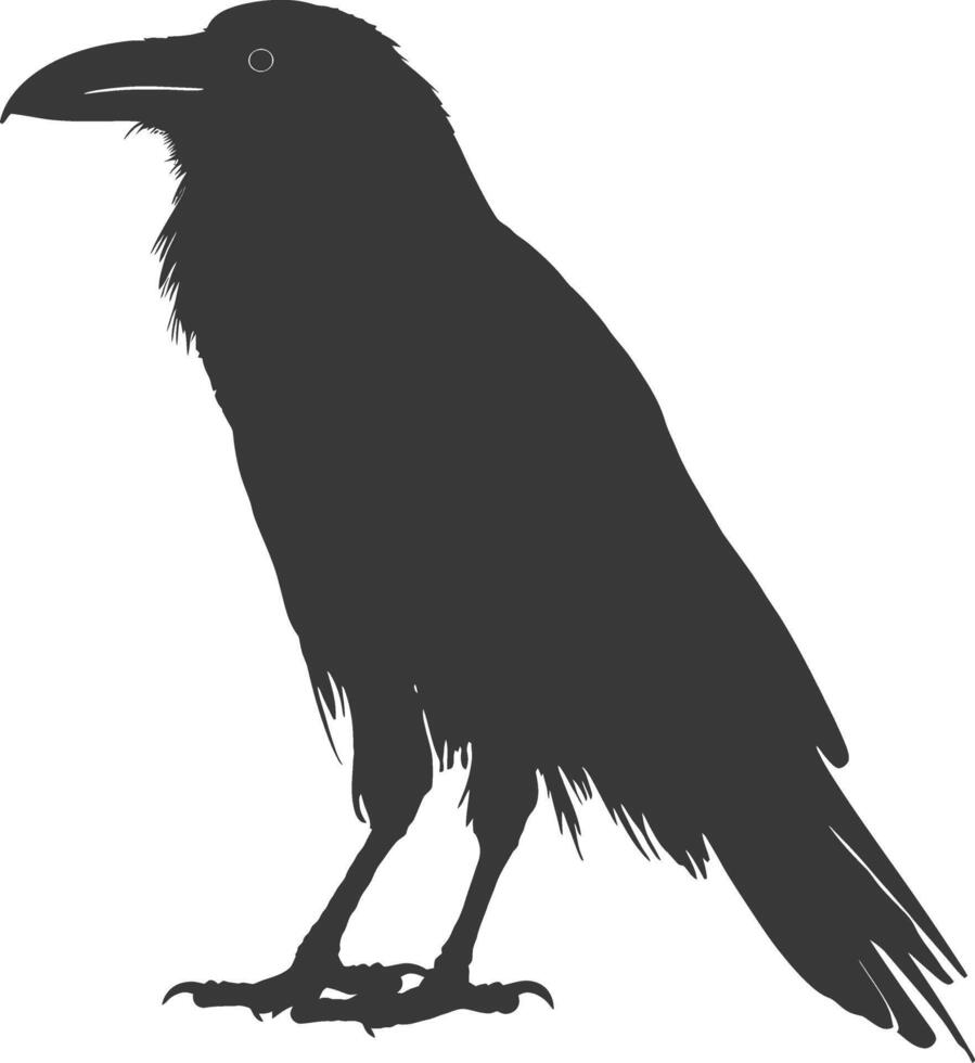 silhouette raven animal full body black color only vector