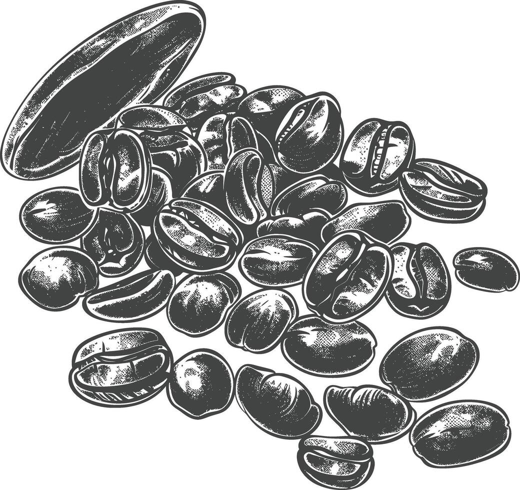 coffee beans with engraving style black color only vector