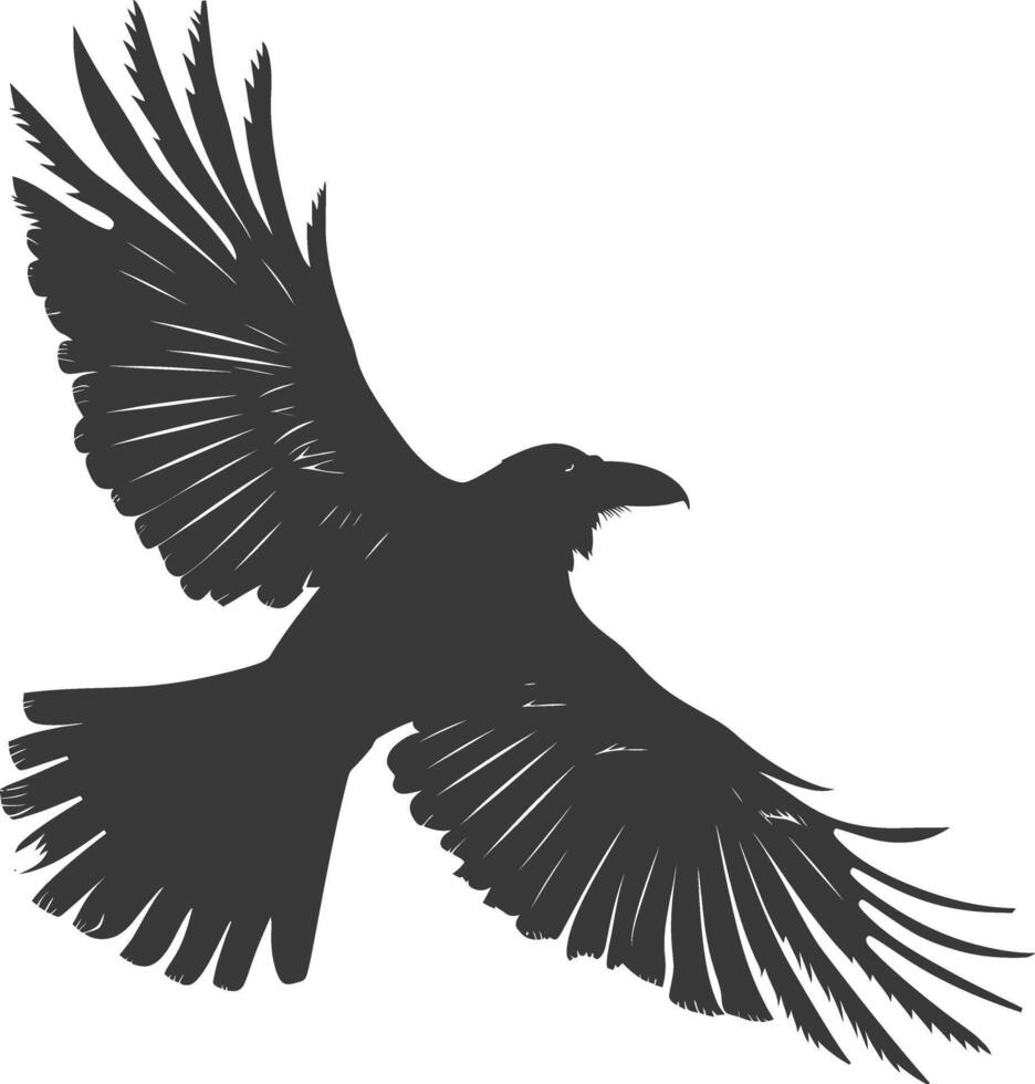 silhouette raven animal fly full body black color only vector
