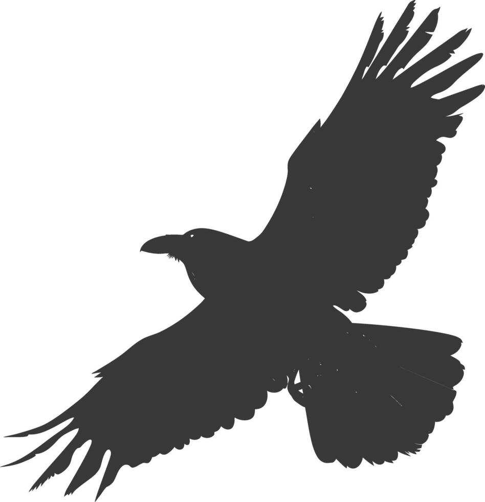 silhouette raven animal fly full body black color only vector
