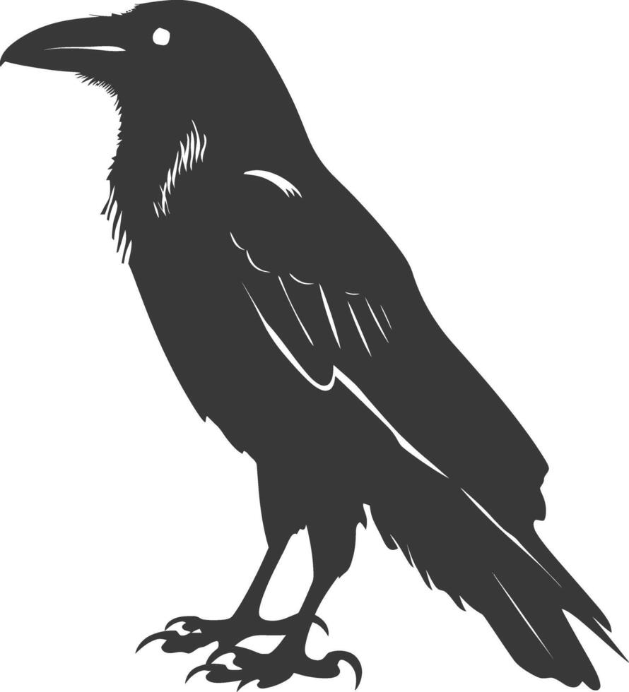 silhouette raven animal fly full body black color only vector
