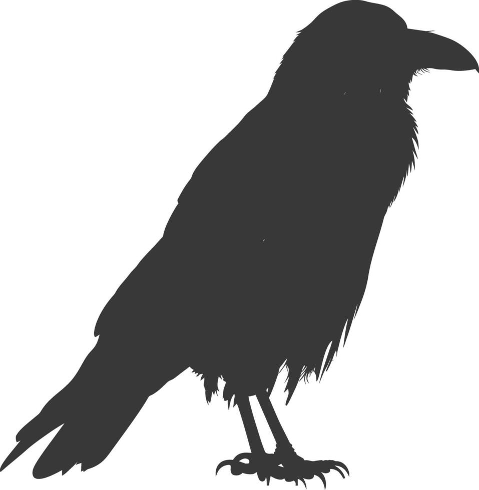 silhouette raven animal fly full body black color only vector
