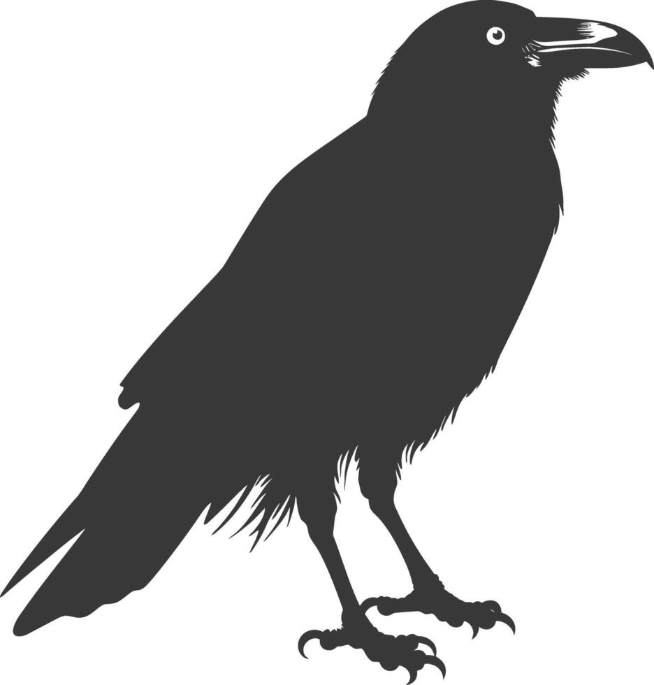 silhouette raven animal full body black color only vector