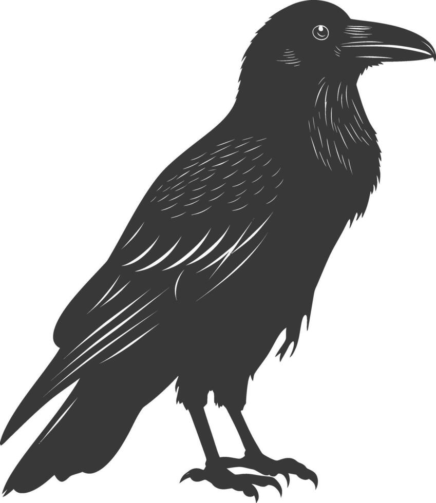 silhouette raven animal full body black color only vector