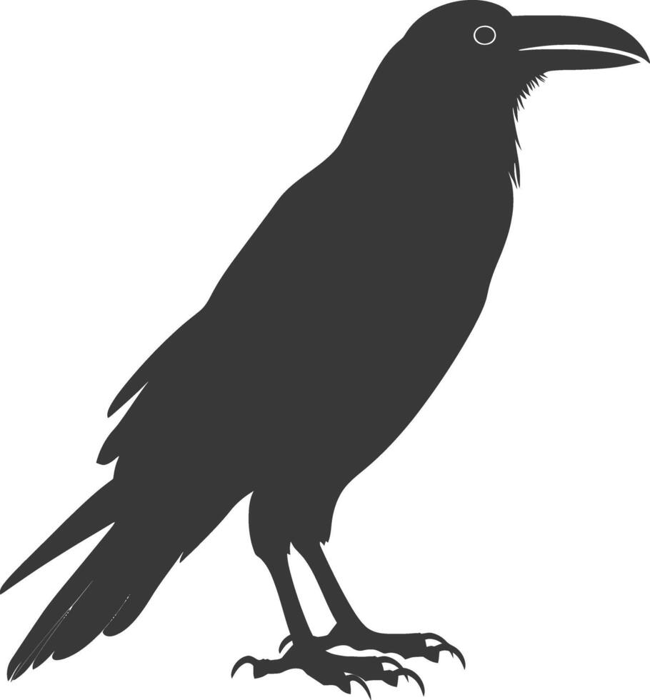 silhouette raven animal full body black color only vector