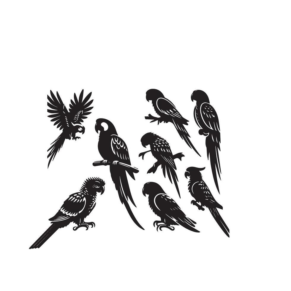 Parrot silhouette on white background. Birds silhouette. Parrot logo, illustration vector