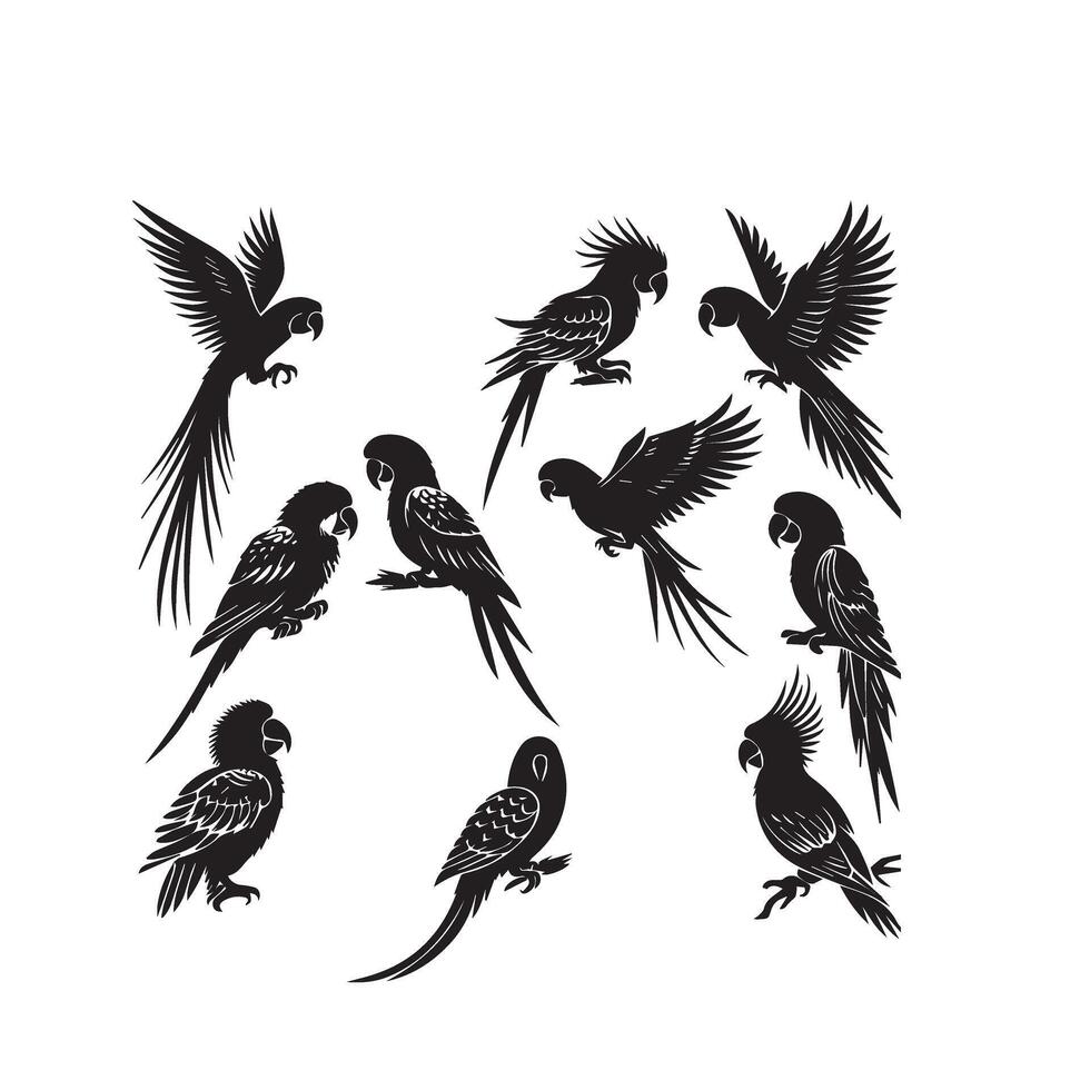 Parrot silhouette on white background. Birds silhouette. Parrot logo, illustration vector