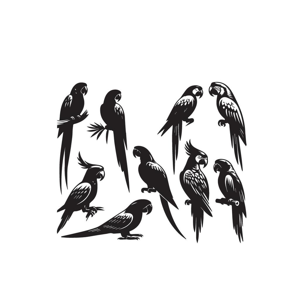 Parrot silhouette on white background. Birds silhouette. Parrot logo, illustration vector