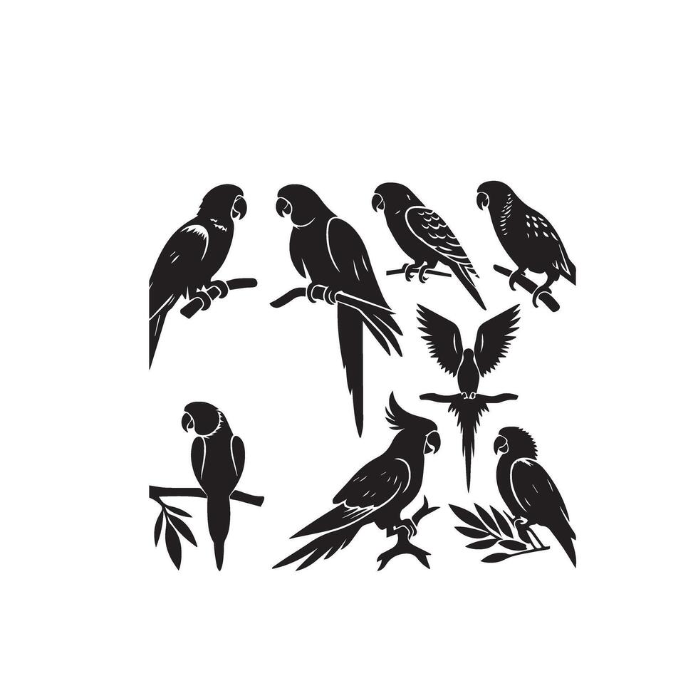 Parrot silhouette on white background. Birds silhouette. Parrot logo, illustration vector