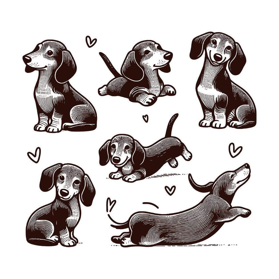 Cute dog and puppy set collection silhouette design template illustration vector